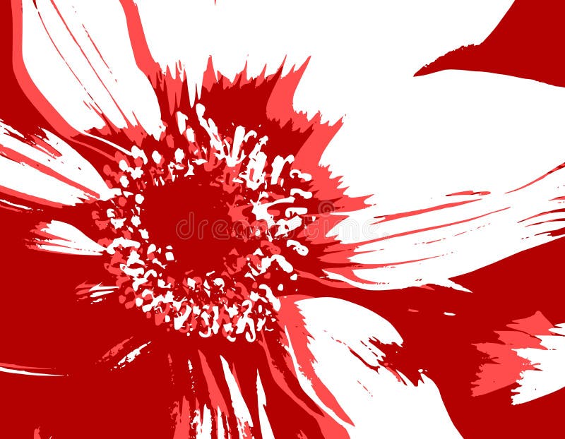 Vector Flower Texture Red Pink