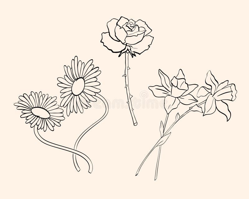 Featured image of post Daffodil Line Drawing Tattoo Line drawing simple daisy tattoo