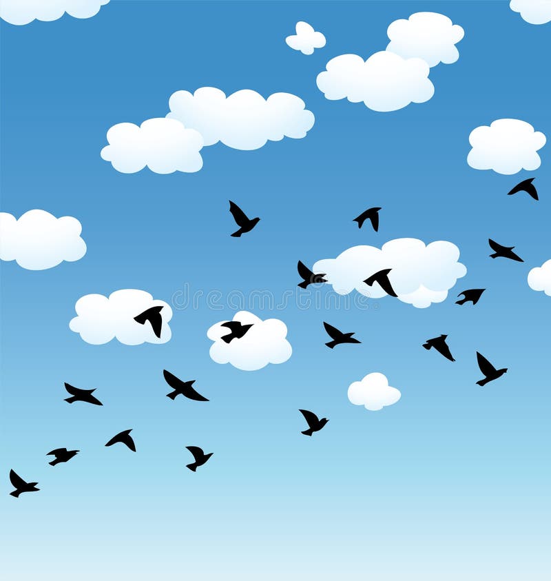 My Image 24