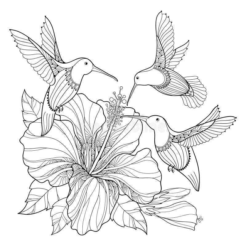 Summer Shirt. Hummingbird With Flowers Colibri. Summer Shirt. Hummingbird With Flowers Colibri.