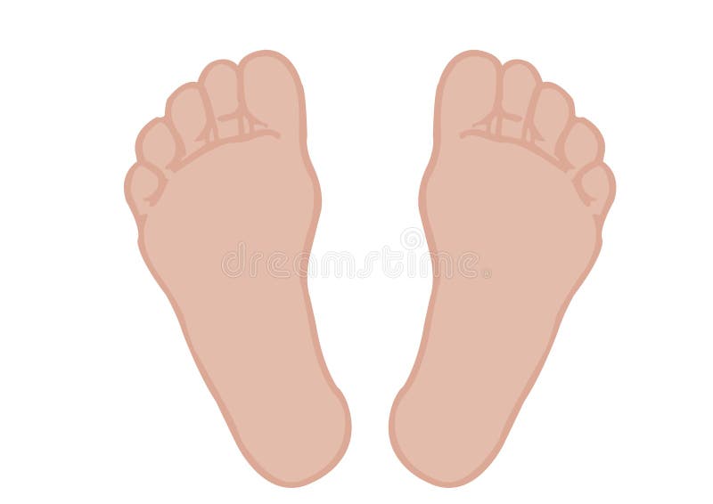 Vector of a foot of feet on a white background