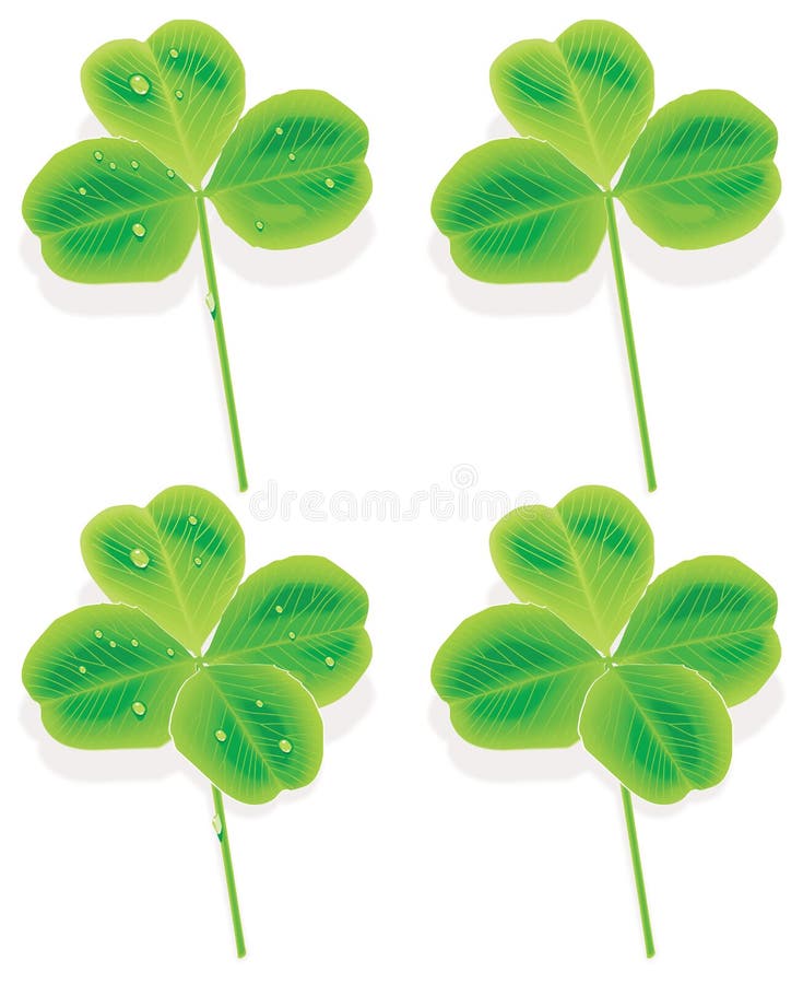 Vector four and three Leaf Clover stock illustration