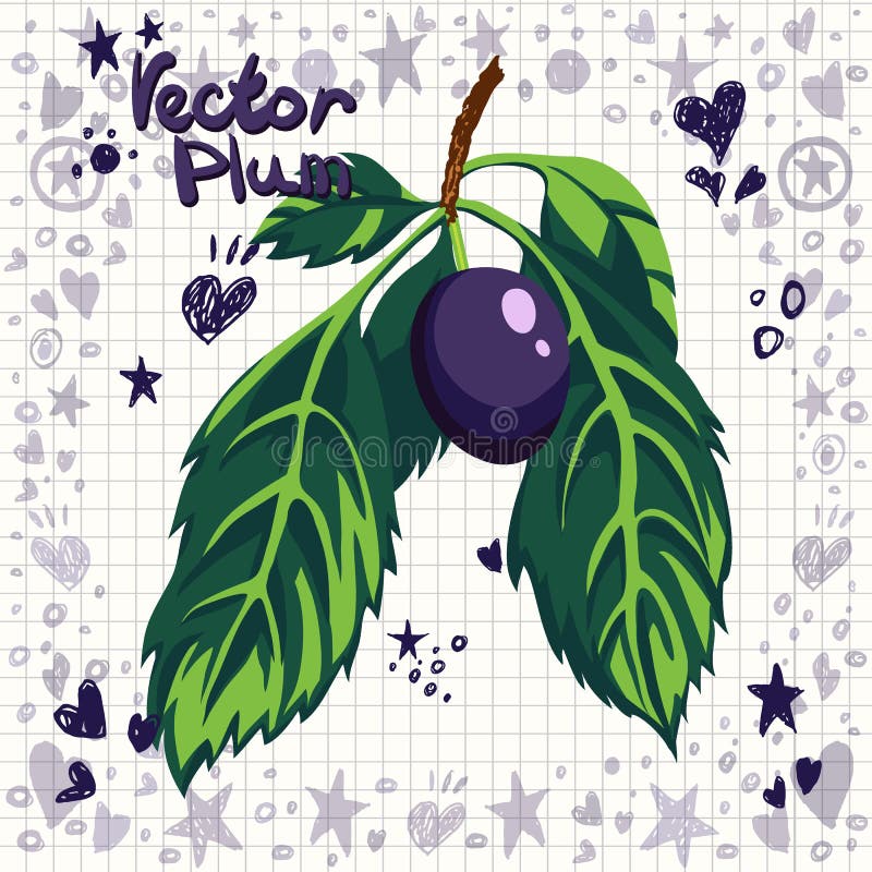 Vector Fresh Plum with Leaves Stock Vector Illustration of organic