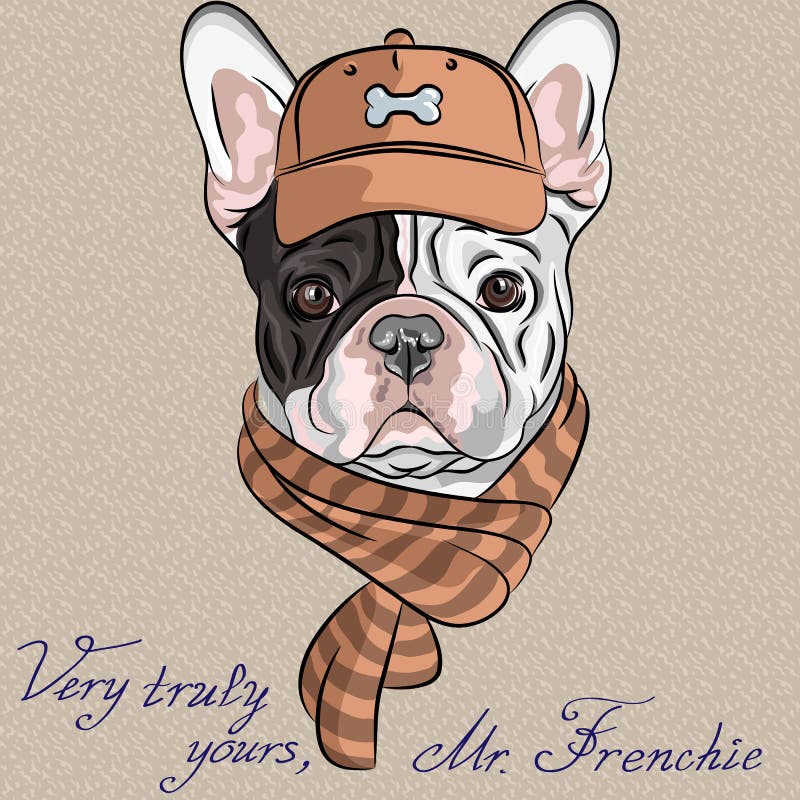 Vector funny cartoon hipster dog French Bulldog b