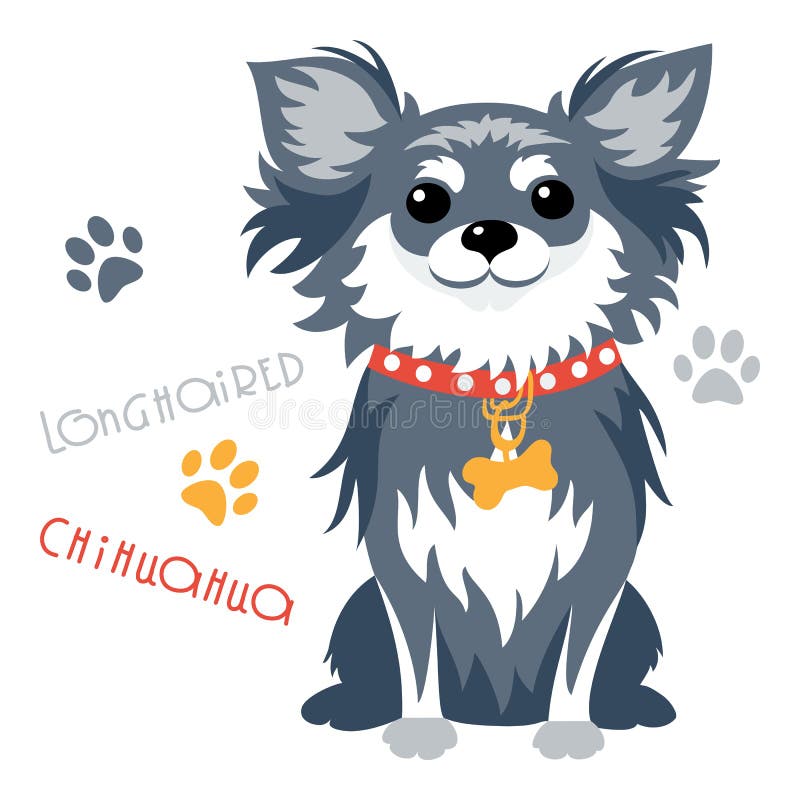 Vector Funny Longhaired Chihuahua Dog Sitting Stock Vector