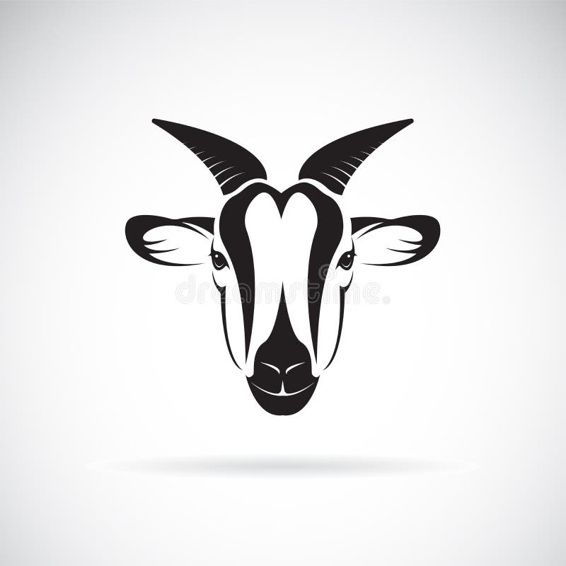 Vector of goat head design on white background. Wild Animals