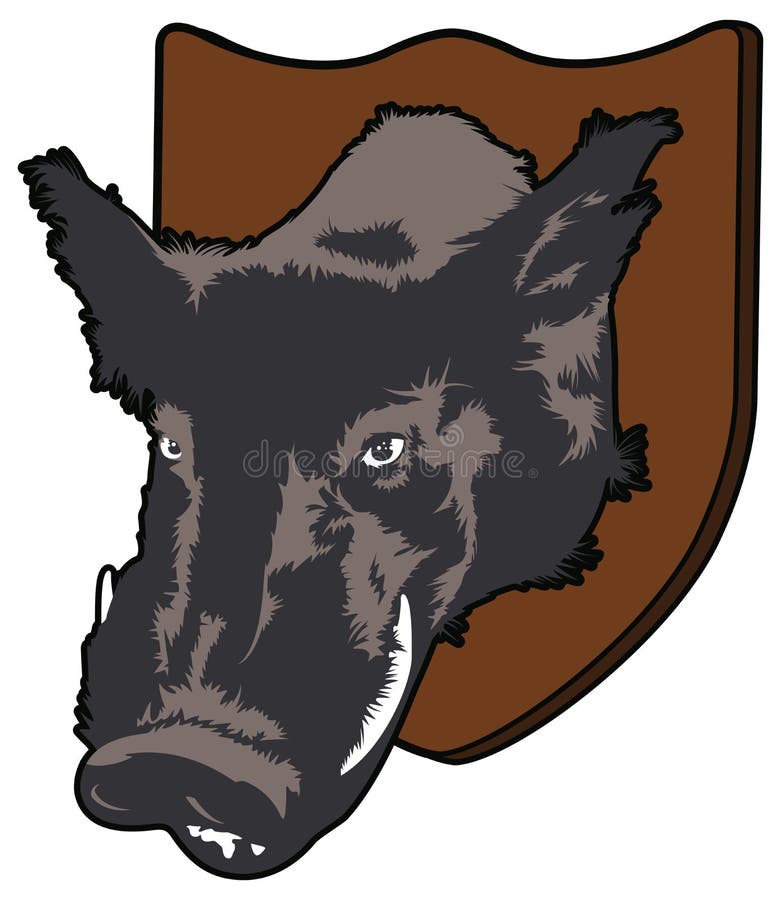 Mounted Boars Head Vector Illustration Stock Vector Illustration of