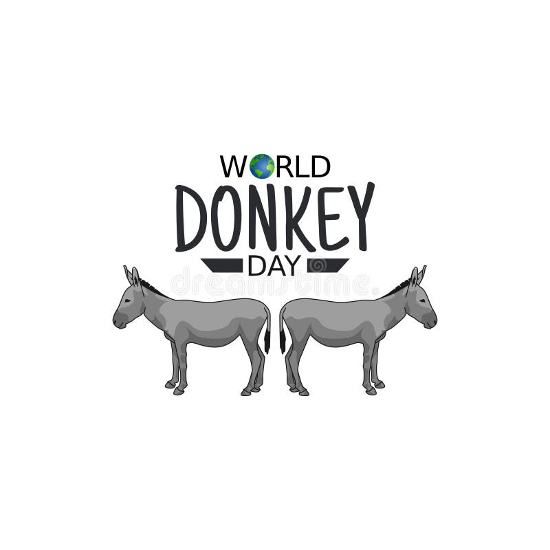 Donkey Day 2025 Mae Walliw