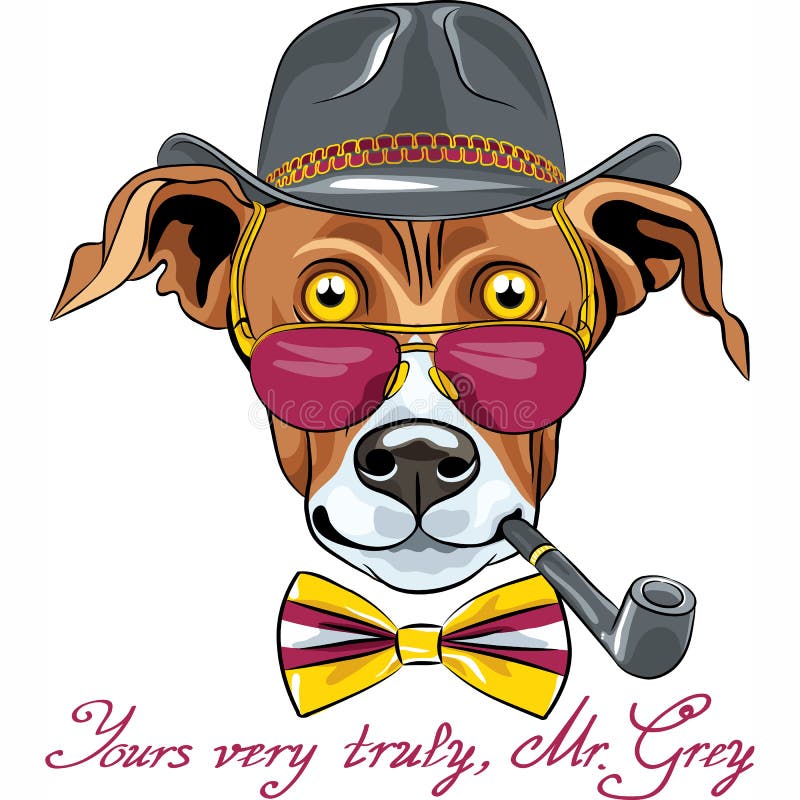 Vector grappig de Hondras van de beeldverhaal hipster Windhond royalty-vrije illustratie Vector grappig de Hondras van de beeldverhaal hipster Windhond royalty-vrije illustratie