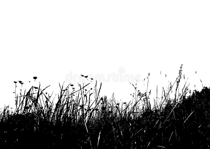 Vector grass. stock vector. Illustration of black, drawing - 2758856