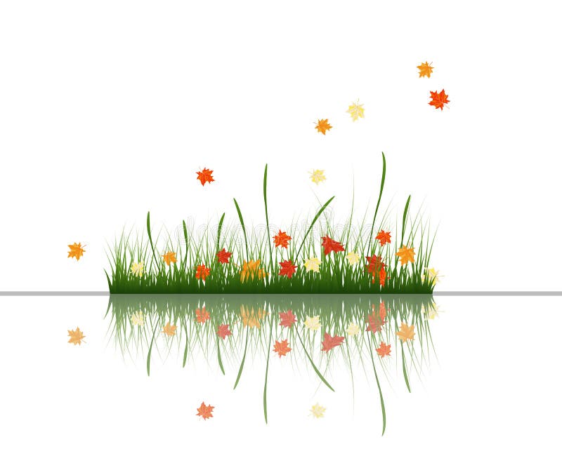 Meadow with reflection vector illustration