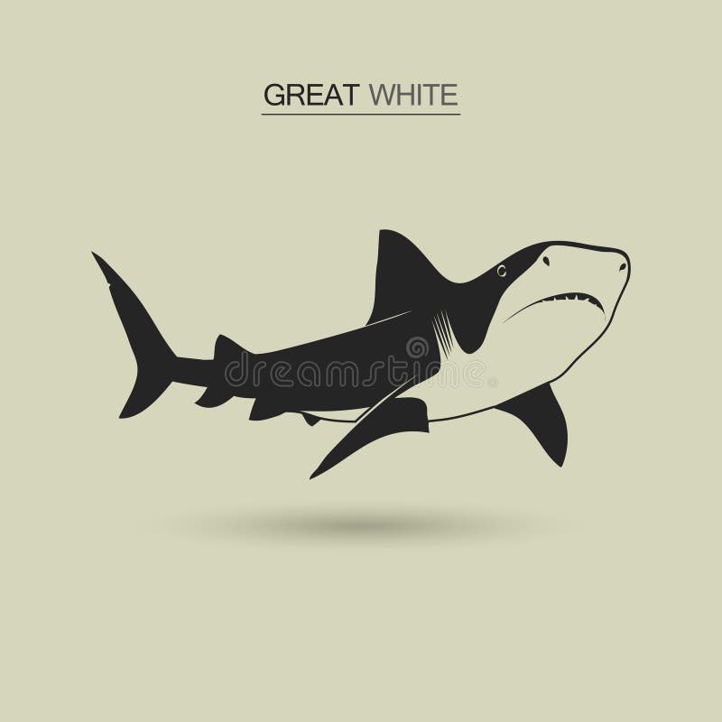 Cheer Sport Great White Sharks 2013/2014 Music - YouTube