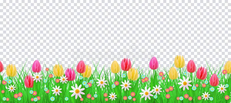 Vector green grass, tulip flowers border frame