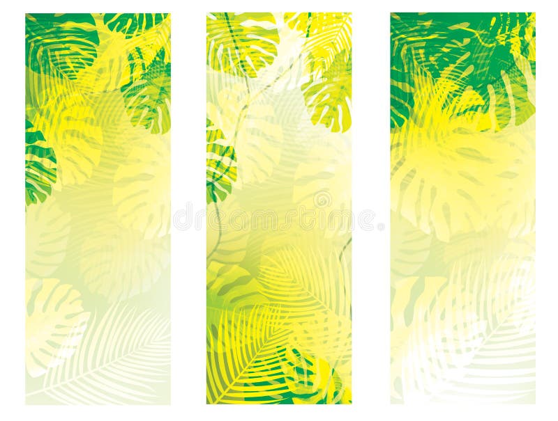 Vector Green, Tropical Leaves Backgrounds. Exotic Leaves Summer Banners