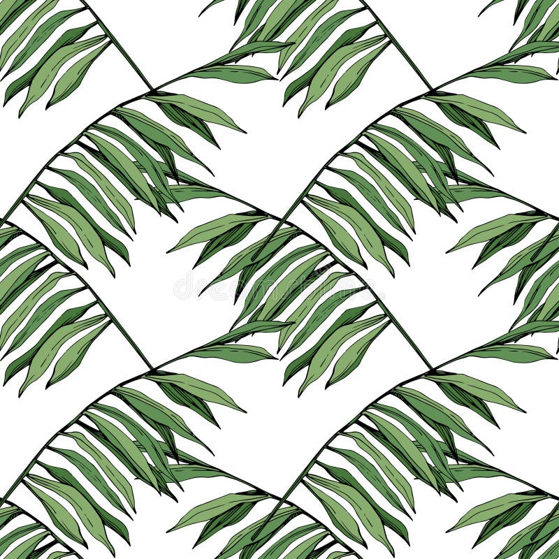Vector Groen de tuin bloemengebladerte van de bladinstallatie Gegraveerd inktart. De boombladeren van Palm Beach Naadloos patroon royalty-vrije illustratie Vector Groen de tuin bloemengebladerte van de bladinstallatie Gegraveerd inktart. De boombladeren van Palm Beach Naadloos patroon royalty-vrije illustratie