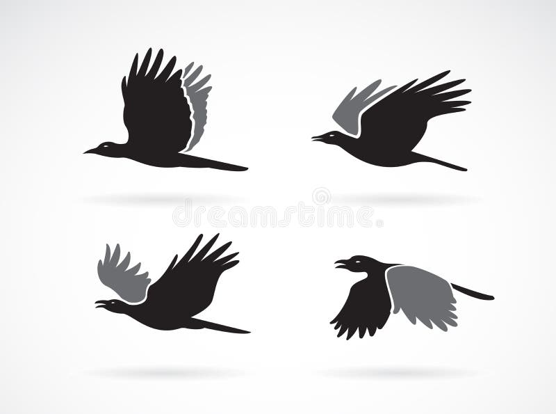 Vector group of black crow flying on white background. Birds. Animals. Easy editable layered vectors illustration stock illustration