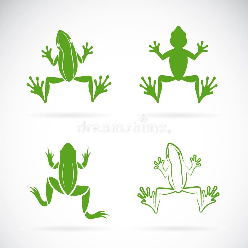 Vector group of frogs design on white background. royalty free illustration