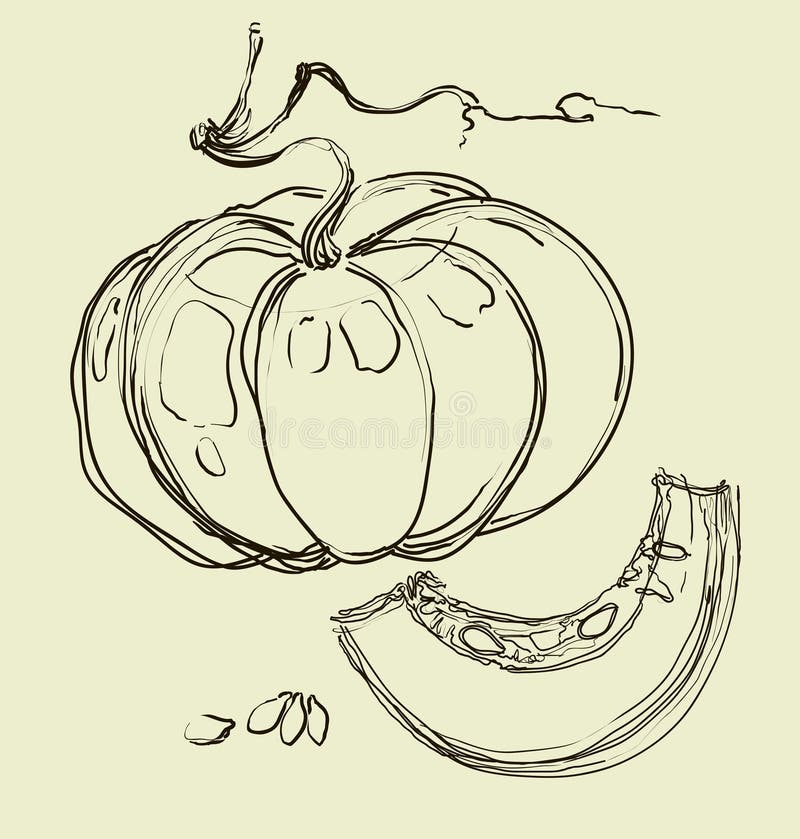 Vector Hand Drawing Juicy Melons Stock Illustration Illustration of