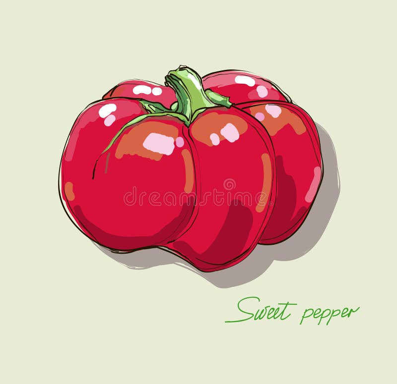 Vector Hand Drawing Red Hot Peppers Stock Illustration Illustration