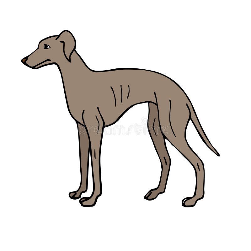 Greyhound Doodle Stock Illustrations – 136 Greyhound Doodle Stock  Illustrations, Vectors & Clipart - Dreamstime
