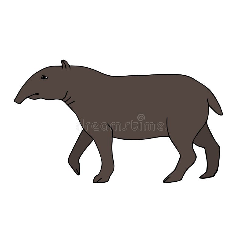 Tapir Drawing Stock Illustrations 433 Tapir Drawing Stock