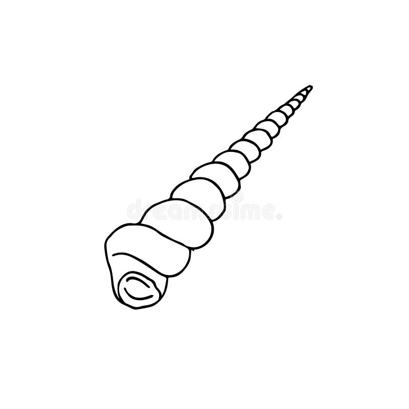 Sketch of a sea shell stock illustration. Illustration of sketch - 43007087