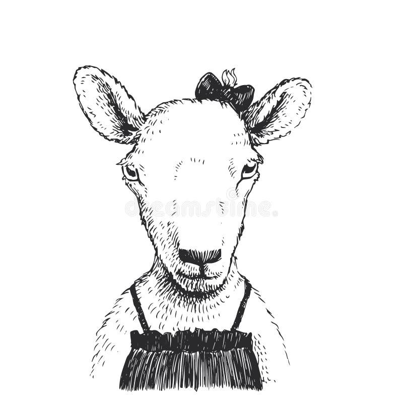 Vector hand drawn illustration with cute little sheep in dress and bow. Portrait of funny animal character in sketch style