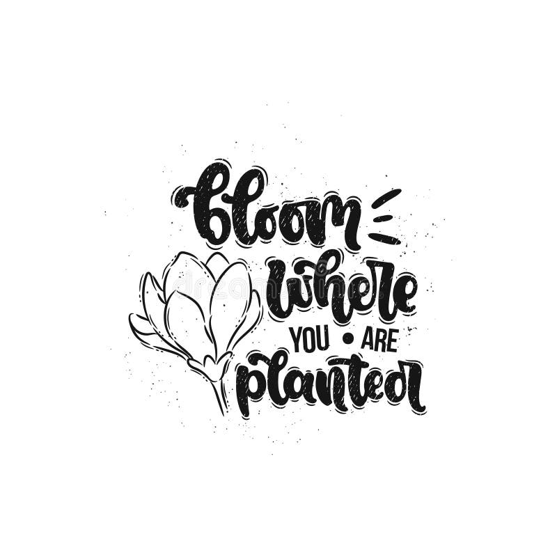 Bloom Where You Are Planted Stock Vector Illustration Of Decor Phrase 131870992