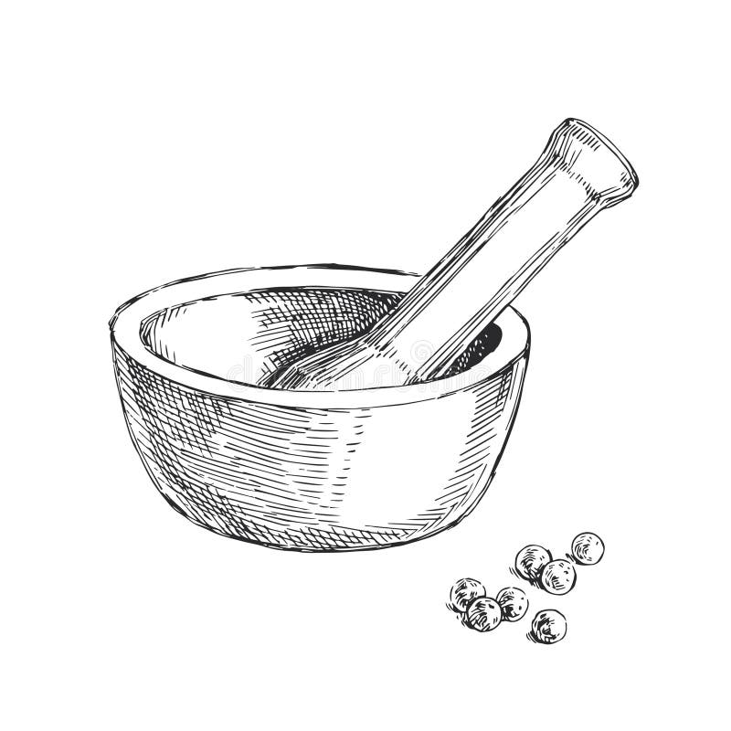 Vector Handdrawn Illustration of a Mortar and Pestle for Spices in the