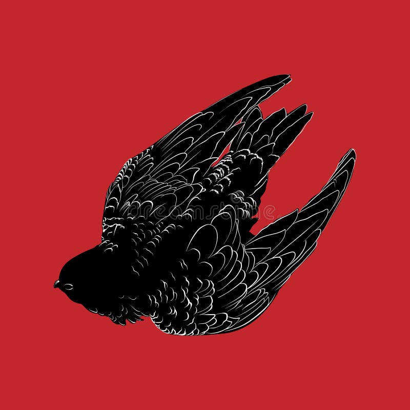 Vector Hand Drawn Illustration of Swift Bird Isolated. Creative Tattoo  Artwork Stock Vector - Illustration of plumage, engraving: 155684047