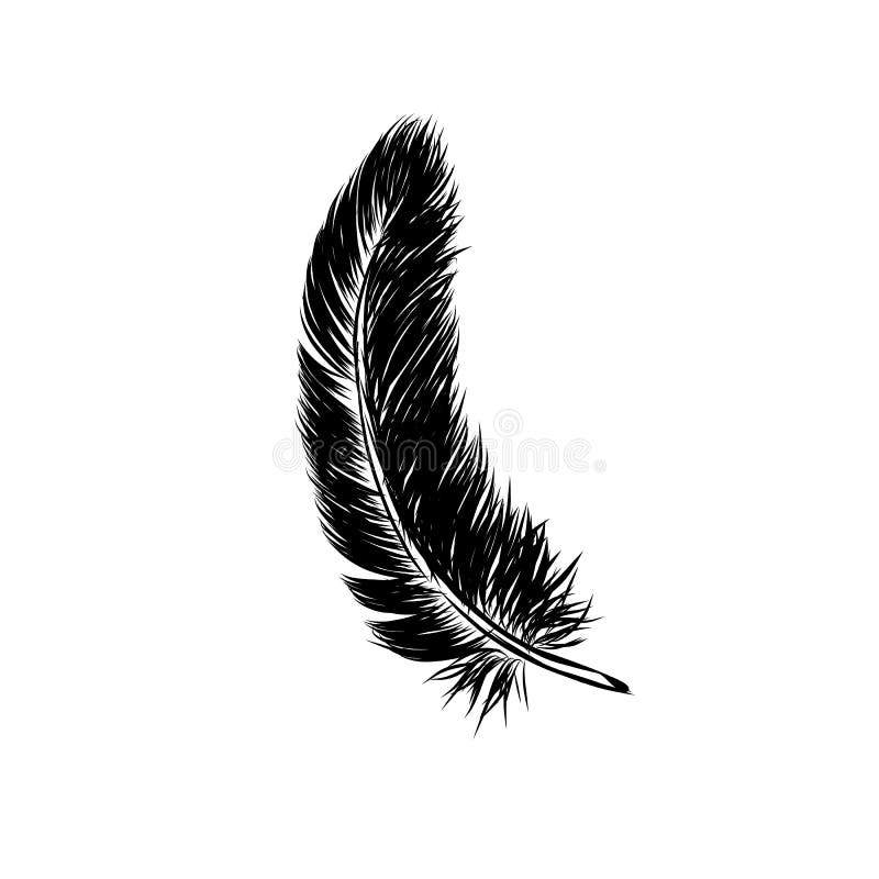 Vector Feather Background Stock Illustrations – 161,809 Vector Feather ...