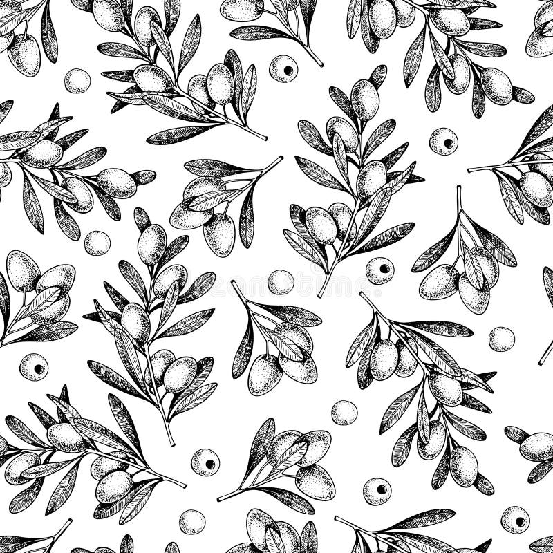 Vector hand drawn seamless pattern of olive branches. Natural cosmetic products. Hair care oils. Farm vegetables