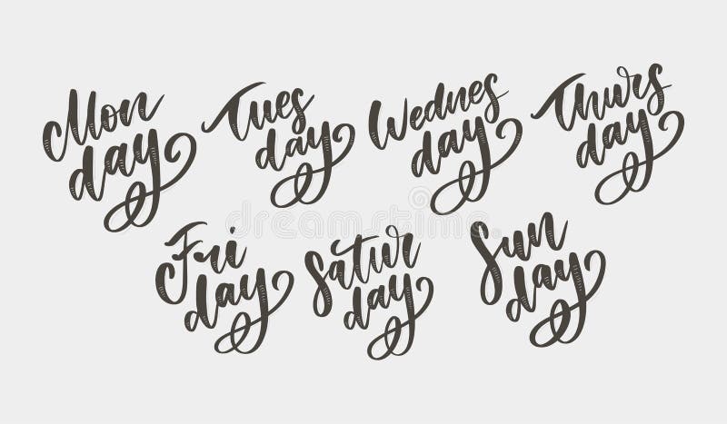 Premium Vector  Tuesday lettering modern handwritten text sticker for  planner bright tuesday text days of week planning concept vector  illustration