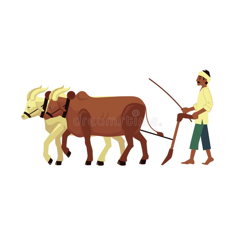 Indian Farmer  Importance  Condition of Farmers in India
