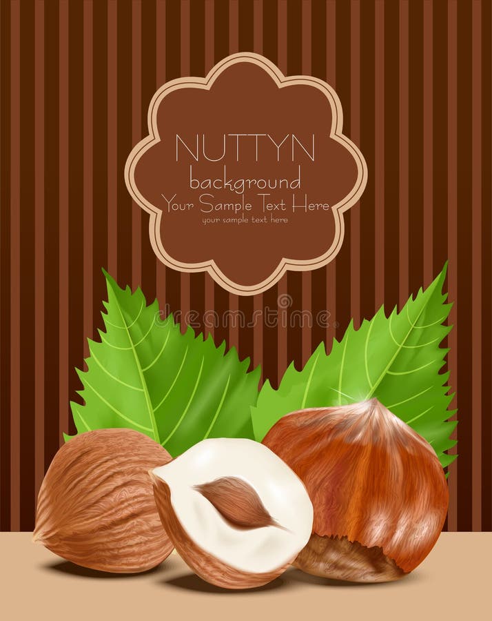 Hazelnuts with Green Leaves. Stock Vector Illustration of nutshell