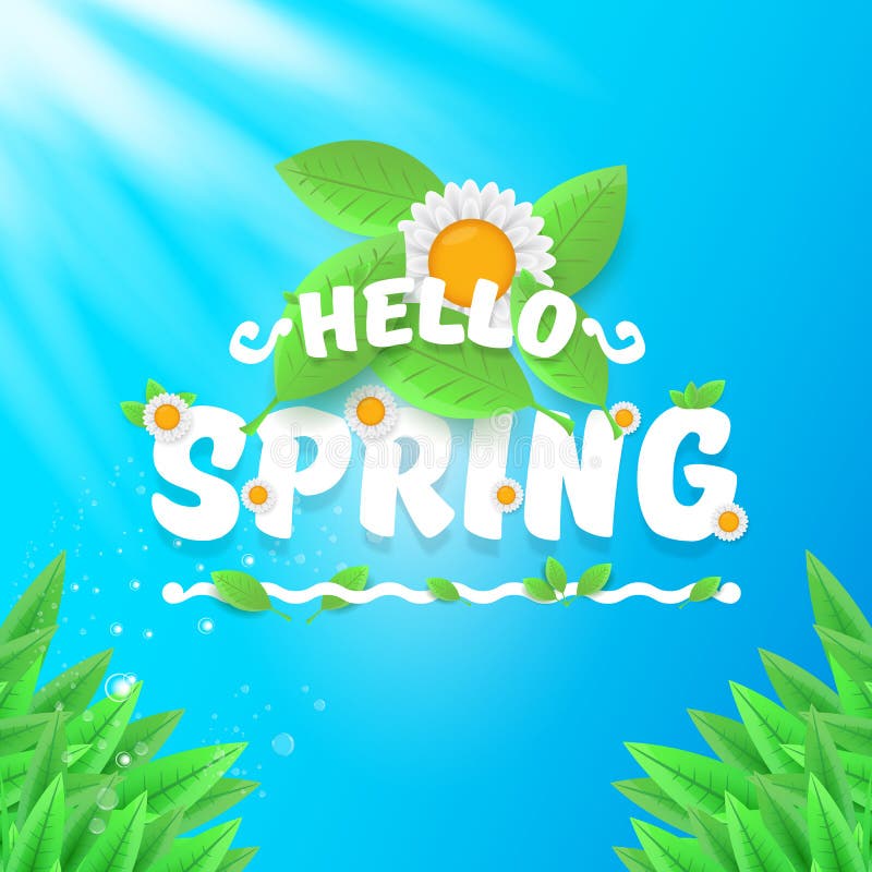 Vector Hello Spring Banner With Green Grass, Sky And Flowers. Hello