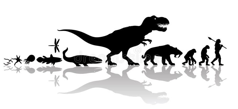 Evolution of Life on Earth. Silhouette with Transparent Reflection Isolated on White Background. Stock Vector - Illustration of mammals, earth: 129516390 Evolution of Life on Earth. Silhouette with Transparent Reflection Isolated on White Background. Stock Vector - Illustration of mammals, earth: 129516390