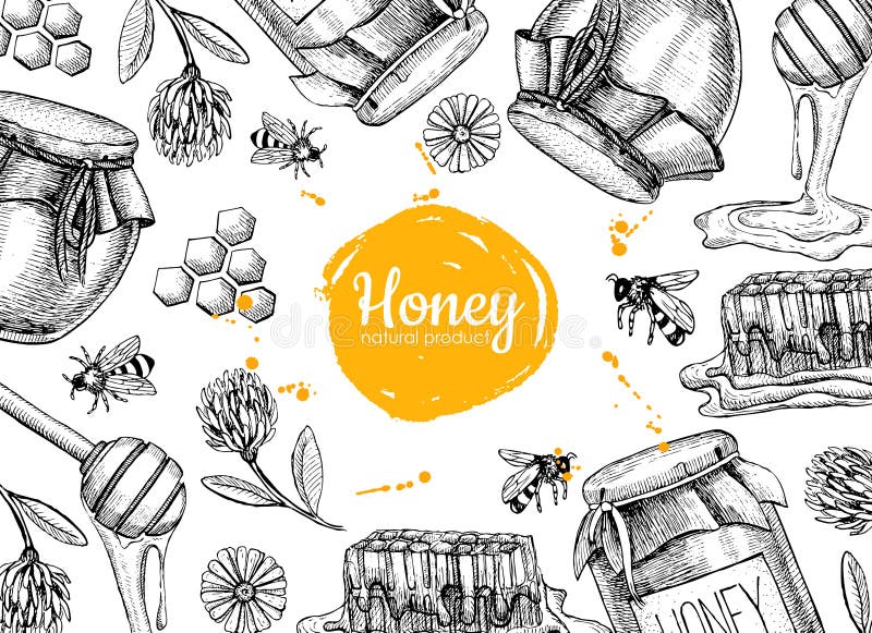 Vector honey hand drawn frame illustrations. Jar, bee, honeycomb