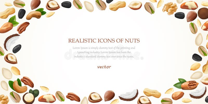 Vector horizontal graphic of realistic nuts laid out on the edge of the illustration royalty free illustration