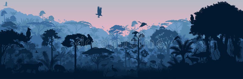 Vector Horizontal Tropical Rainforest Jungle Background with Animals Stock  Vector - Illustration of forest, caiman: 187039336