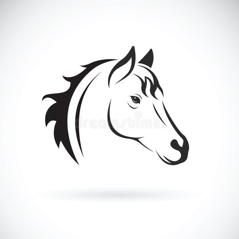 Vector of a horse head on white background.