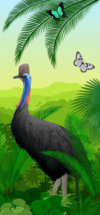 Vector il baner verticale della foresta pluviale della giungla con il casuarius e butterfliy illustrazione di stock Vector il baner verticale della foresta pluviale della giungla con il casuarius e butterfliy illustrazione di stock