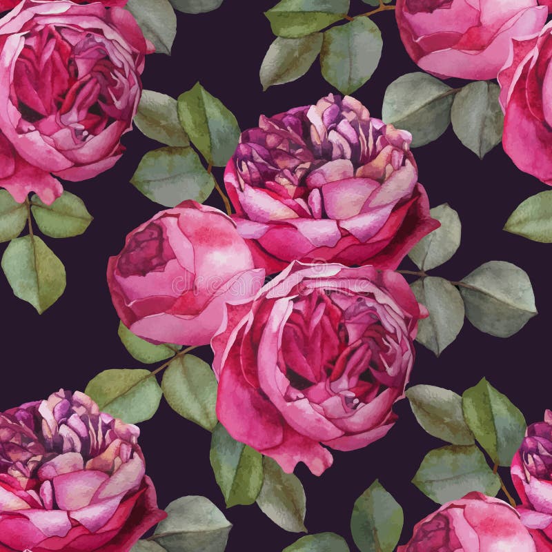 Vector il modello senza cuciture floreale con le rose di rosa dell'acquerello