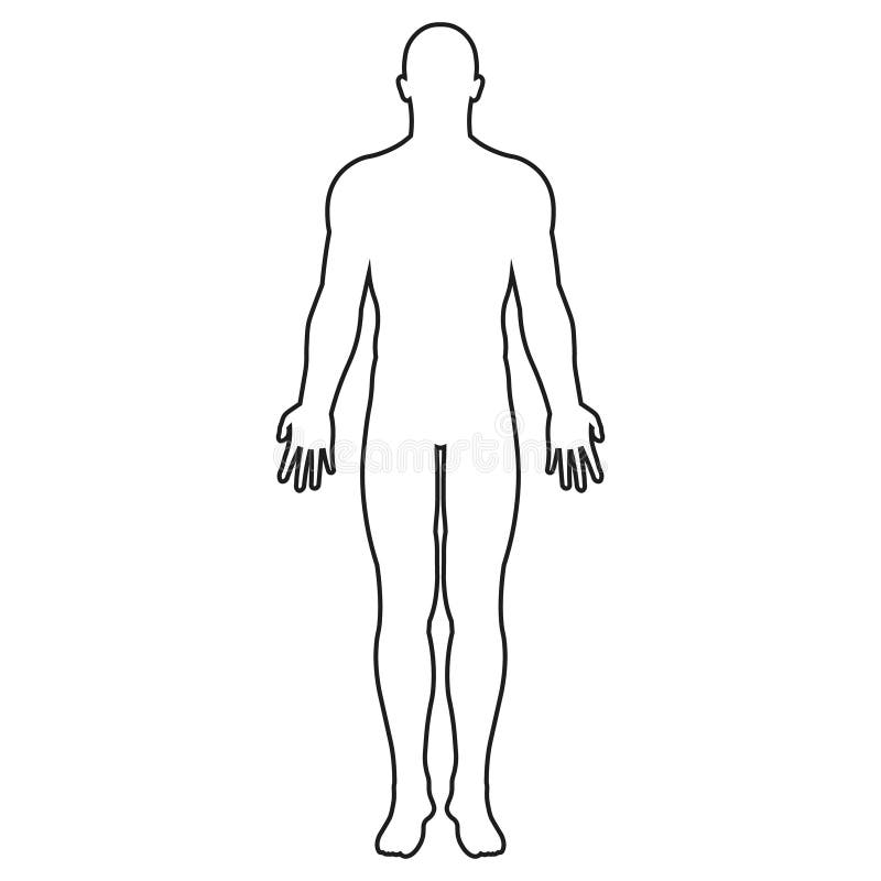 Vector Illstration of Human Body Icon. Outline Design. Isolated. Stock
