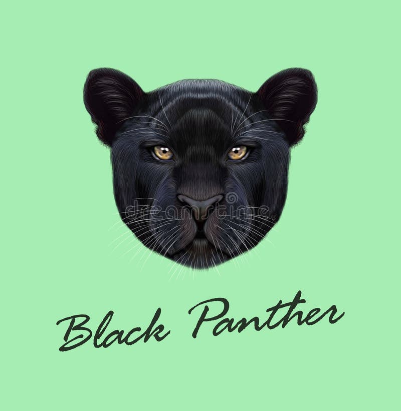 Vector Illustrated Portrait of Black Panther Stock Vector