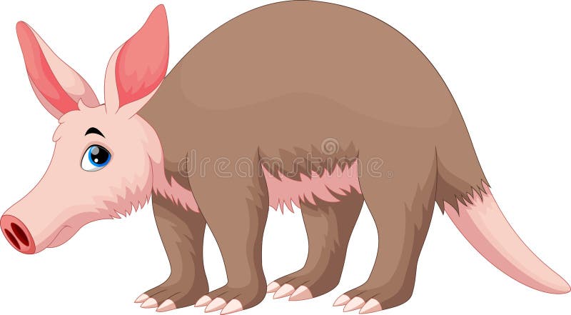 Vector Illustration of Aardvark Cartoon Stock Illustration - Illustration  of caricature, comic: 67817104