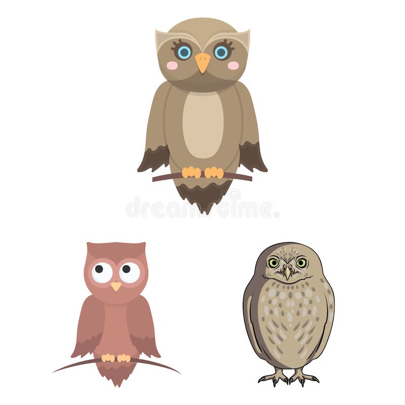 Athena Owl Stock Illustrations – 95 Athena Owl Stock Illustrations ...