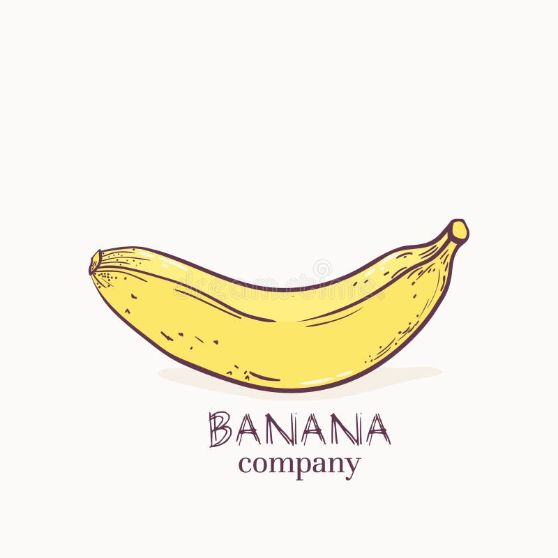 download vector illustration of banana logo template stock vector image 50862019