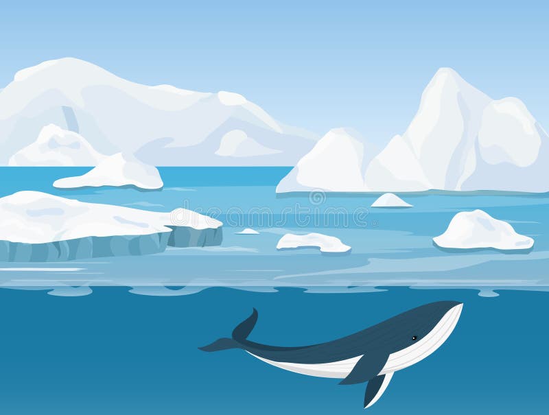 Vector illustration of beautiful arctic landscape of northern and Antarctic life. Icebergs in ocean and underwater world