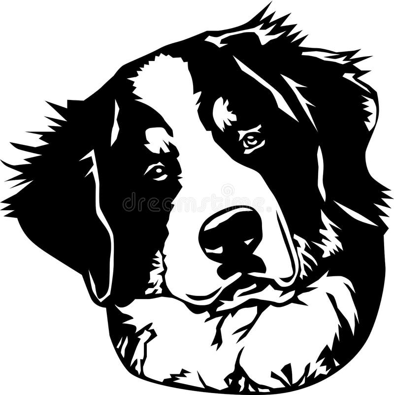 Bernese Mountain Dog Vector Illustration